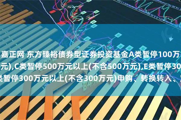 嘉正网 东方臻裕债券型证券投资基金A类暂停100万元以上(不含100万元),C类暂停500万元以上(不含500万元),E类暂停300万元以上(不含300万元)申购、转换转入、定期定额投资公告
