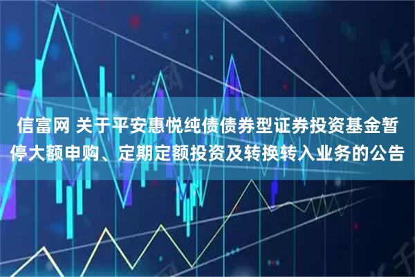 信富网 关于平安惠悦纯债债券型证券投资基金暂停大额申购、定期定额投资及转换转入业务的公告