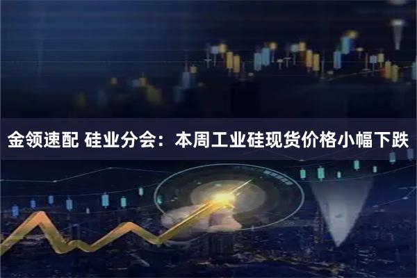 金领速配 硅业分会:本周工业硅现货价格小幅下跌